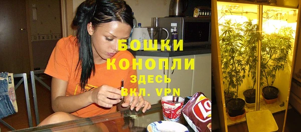 прущие крисы Горнозаводск