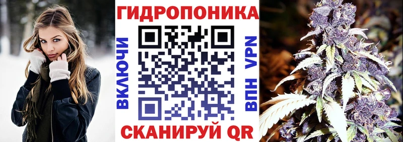 Бошки Шишки планчик  Дно 